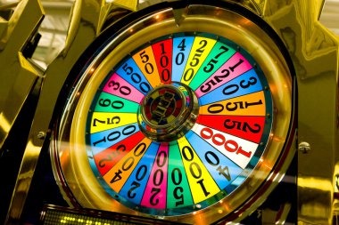 bingotingo App bingotingo App